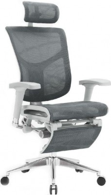 Кресло для руководителя Expert STAR серая сетка с подножкой RSTM01-G-GY